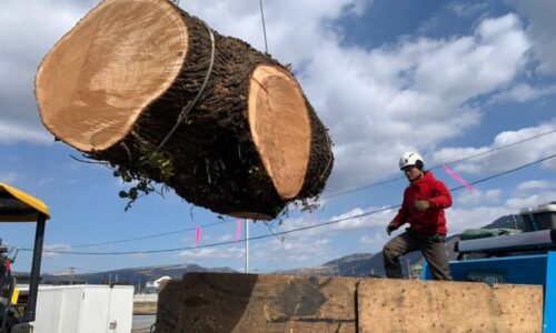 LINE_ALBUM_古庄邸　西原村　ドローン写真後日_220319_24